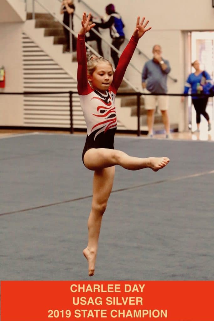 Charlee Day USAG Silver 2019 State Champion